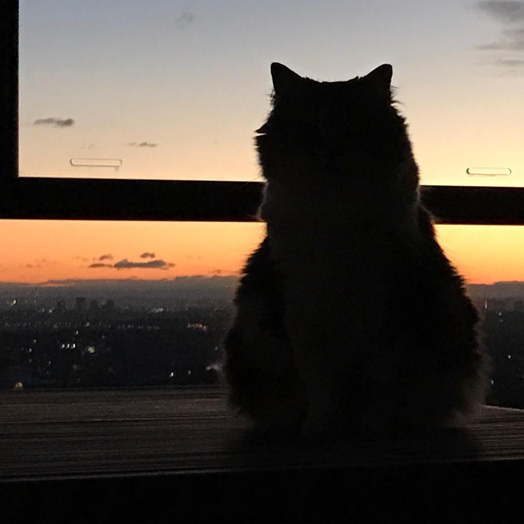 Contemplating life over sunset